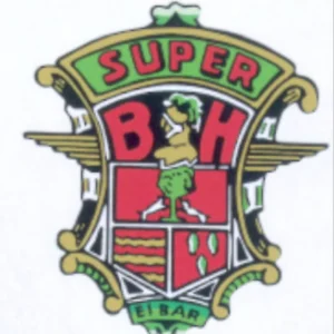 BH3 (anagrama guardabarros trasero velomotor)